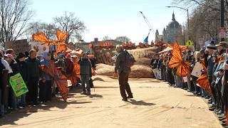 The story behind that giant Constitution at the No Kings rally in St. Paul Information