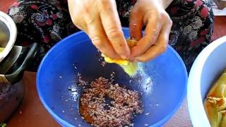 MVI_6485.AVI