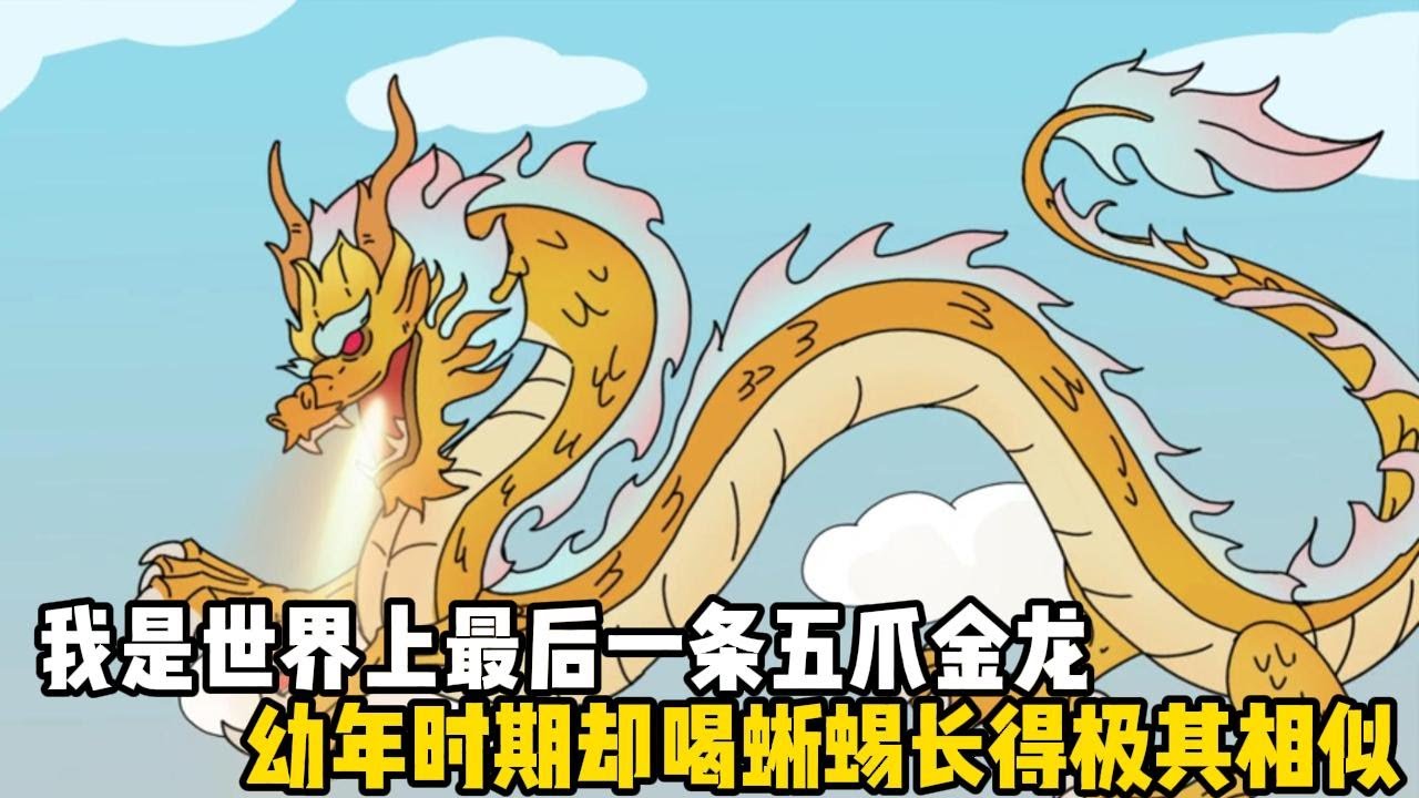 我是世界上最後一條五爪金龍，幼年時期卻喝蜥蜴長得極其相似，於是被人類當作稀有閃光