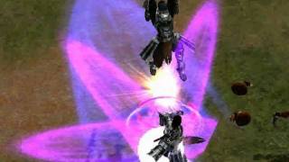 metin2 P skills