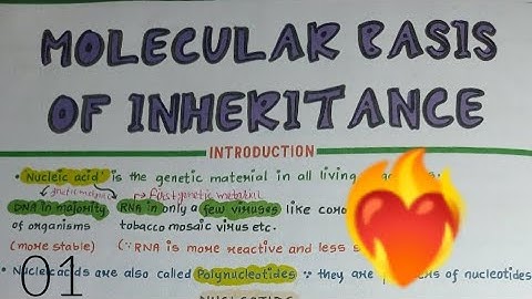 molecular basis of inheritance || introduction 01 @BioMasterClass  #biology #biowallah
