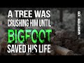 Bigfoot Saves a Hiker's Life. Marathon 109