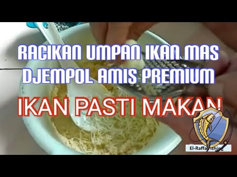 Racikan umpan ikan mas djempol amis premium ikan pasti makan | umpan