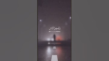 #quran #آيات #foryou #قرآن #ايات_قرانيه_قصيره #راحة_نفسية #هدوء #love #allah #تلاوة_هادئة #الله #fyp