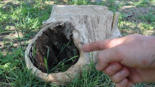 I found an INTERESTING stump!!! And he made an UNUSUAL little thing out of it! DIY