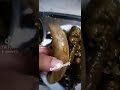 المحشي ده بينزل ف قلبي