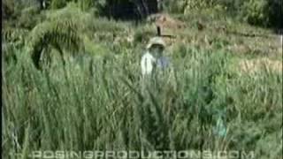 Extreme Mowing from Aaron Mooar - Posing Productions