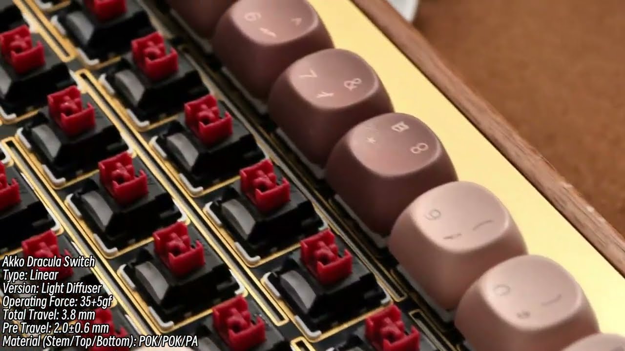 🧛 Akko Dracula Switch Sound Test | Smooth & Silent Typing Experience!