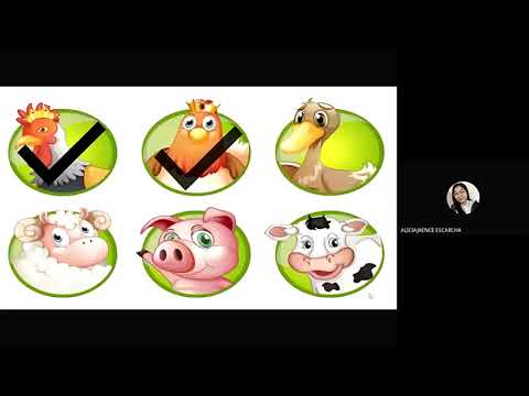 Agricultural Ecosystem