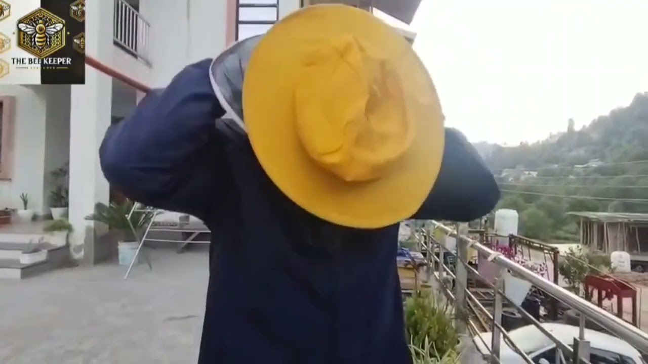 Reviving the mother hive | bee keeping |