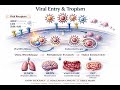 Viral Entry & Tropism - Receptors, Protease Priming, and Tissue Susceptibility | VE-01 (Abstract)