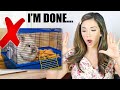 REACTING TO OUR SUBSCRIBERS RABBIT HABITATS | PT. 3