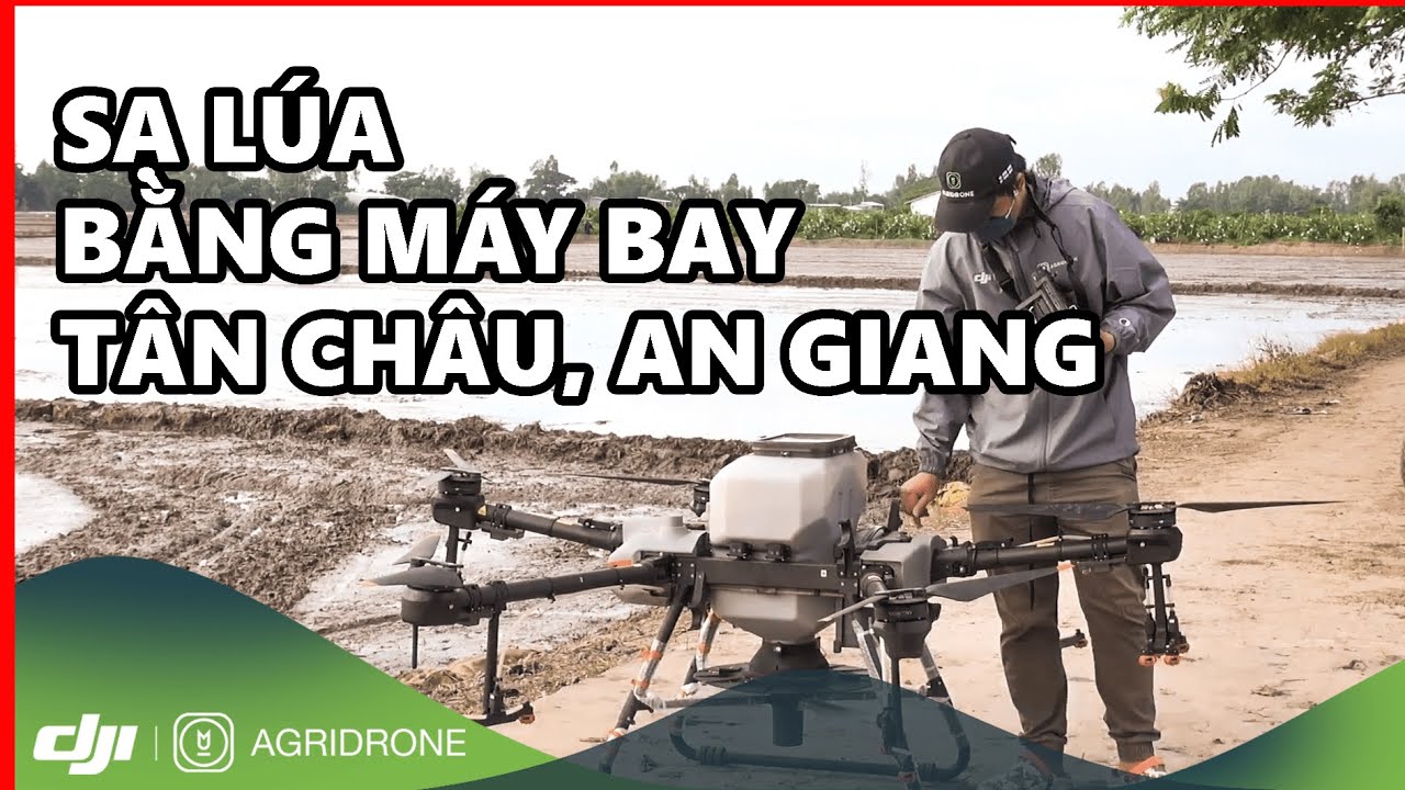 Sạ lúa Đài thơm 8 bằng máy bay nông nghiệp DJI Agras T30 tại Tân Châu ...