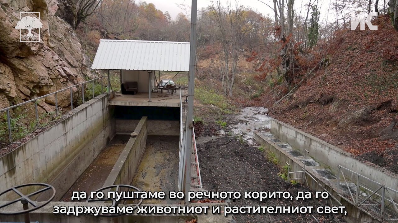 Од Белица до Пехчево: Речната пастрмка исчезнува, турбините вртат