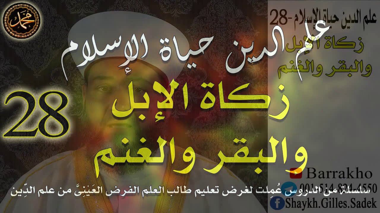 28- علم الدين حياة الإسلام \ زكاة الإبل والبقر والغنم \ الشيخ جيل صادق