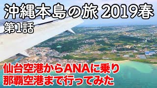 【沖縄旅行】沖縄本島の旅 2019春 第1話 〜仙台空港からANAに乗り那覇空港まで行ってみた〜 【那覇空港・仙台国際空港】