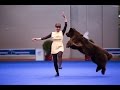 Танцы с собаками "Евразия 2014". Dog Dancing. Canine Freestyle.