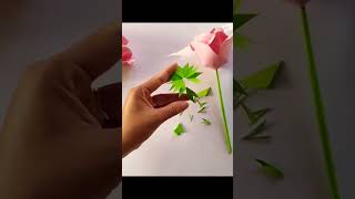 paper roses #sokhim