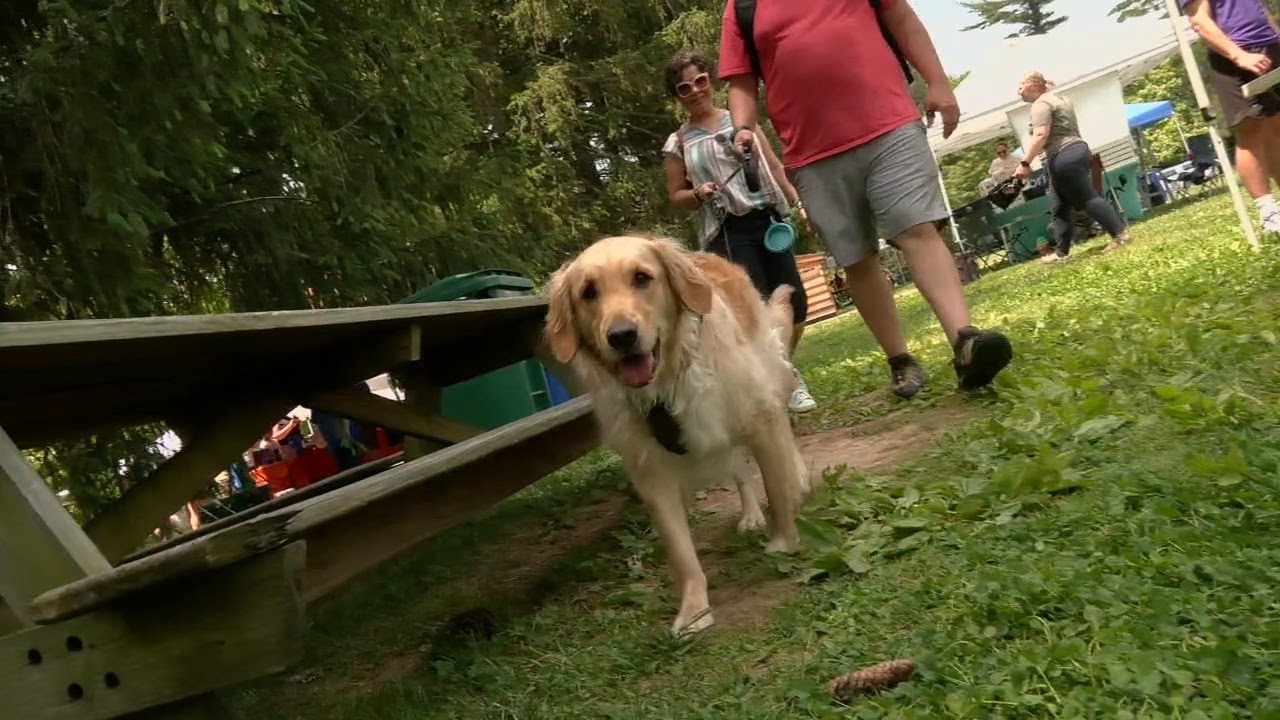 Bernheim Arboretum and Research Forest hosts 'Paws in Nature' for dogs