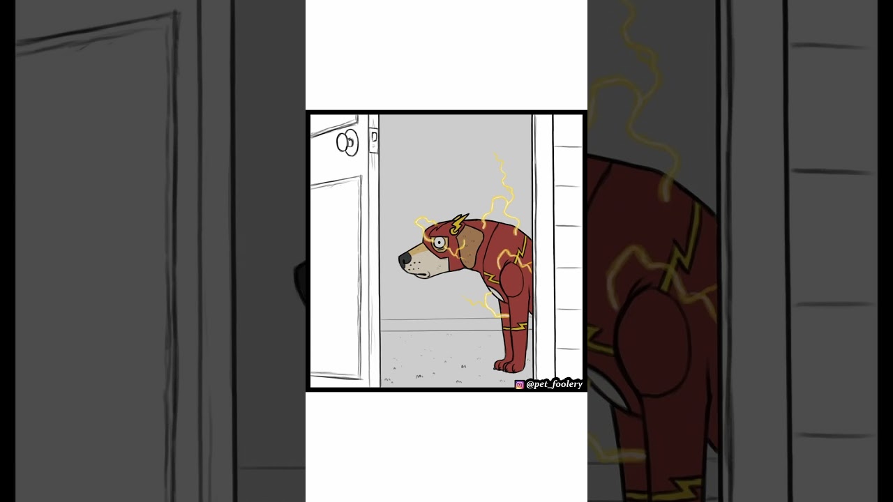 Pet Foolery: Dog Logic (Comic Dub)