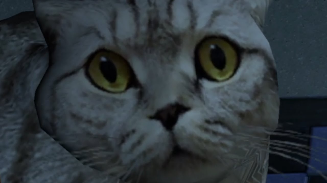 Zabrałem Kikuta do pracy