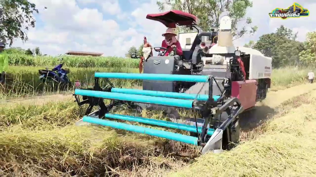 รถเกี่ยวรุ่นเดียวที่มีพวงมาลัย Yanmar YH1180 รถปี 2022 เกี่ยวข้าวจ้าวไร่ละ700บาท