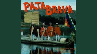 Video thumbnail of "Paja Brava - Koli Kantutita"