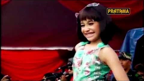 TASYA TIADA GUNA//NEW PALAPA//SNP INDONESIA