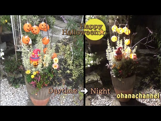 秋の寄せ植え ハロウィンカラーでhappy Halloween Make A Autumn Container Youtube