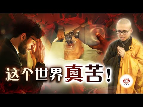 这个世界真苦！ 👼 | 净本法师 主讲