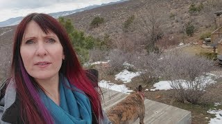 Coyotes, Signs, and Synchronicity
