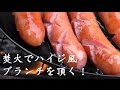 焚き火でハイジ風ブランチを頂く 【あぶったチーズをパンにのせて】 I get a Heidi style branch with a bonfire