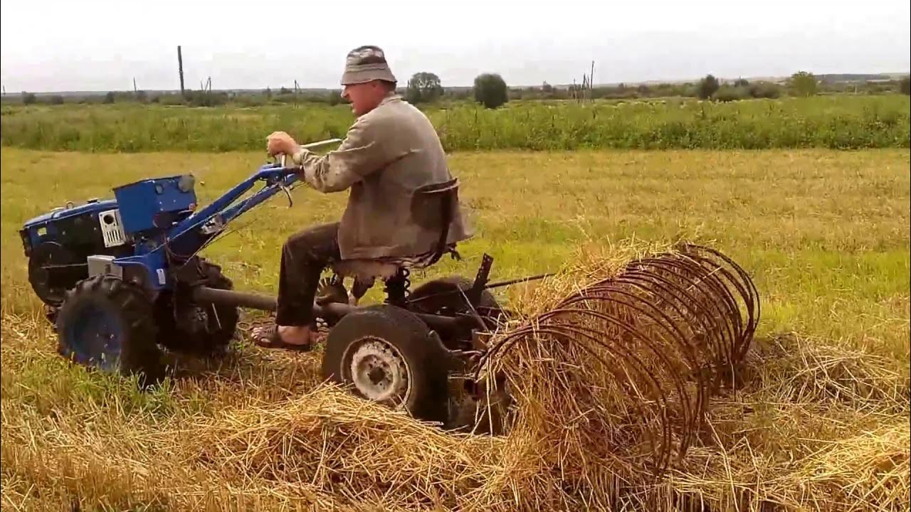 Сена мотоблок купил. Грабли на мотоблок ЗУБР. Грабли к мотоблоку для уборки сена. Собиратель сена для мотоблока. Сборщик сена для мотоблока.