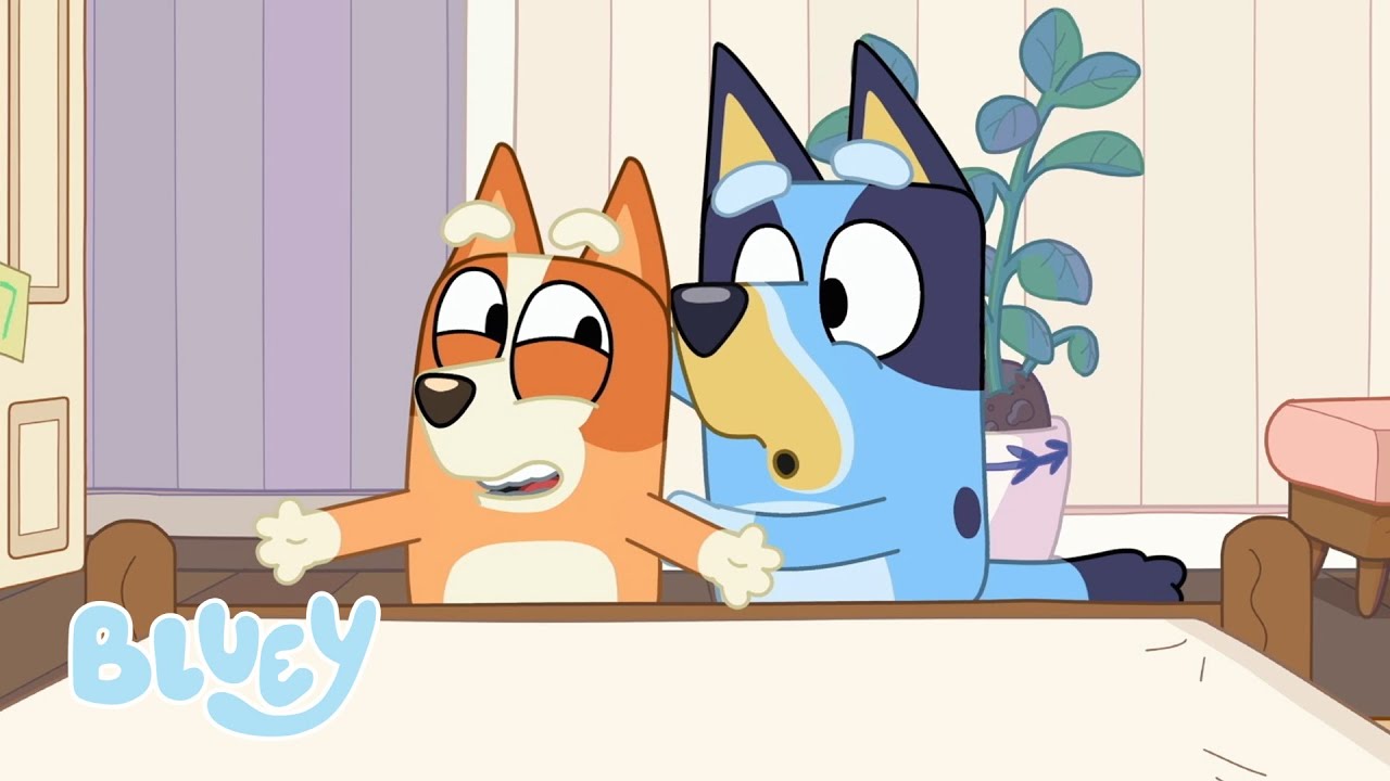 Bluey Saison 1 Épisodes complets  Bluey Français Chaîne Officielle 