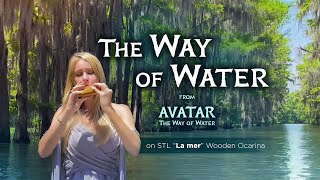 The Way of Water Theme from Avatar: The Way of Water on STL Wooden Ocarina “La Mer”