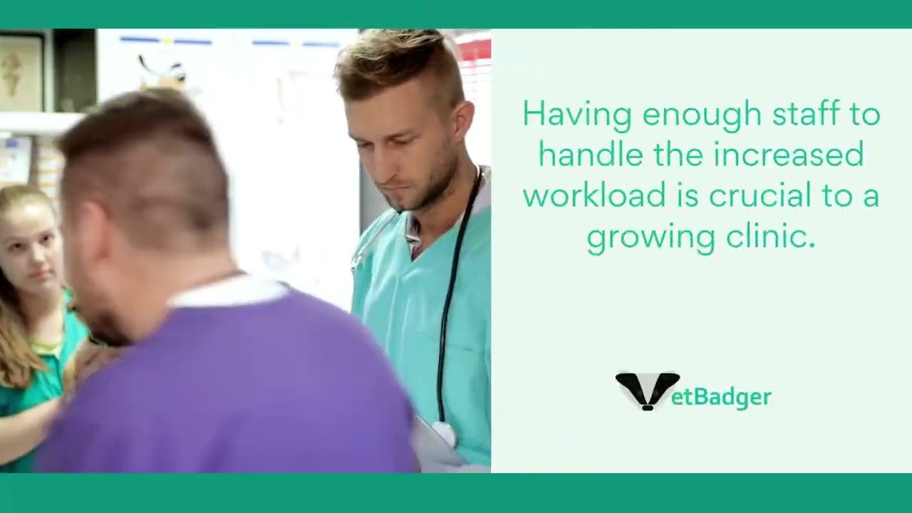 3 Unique Needs Of A Growing Veterinary Practice  | Part 2