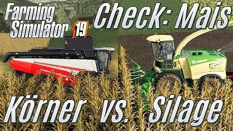 LS19 Check:  Körner-Mais oder Mais-Silage - was ist lukrativer?