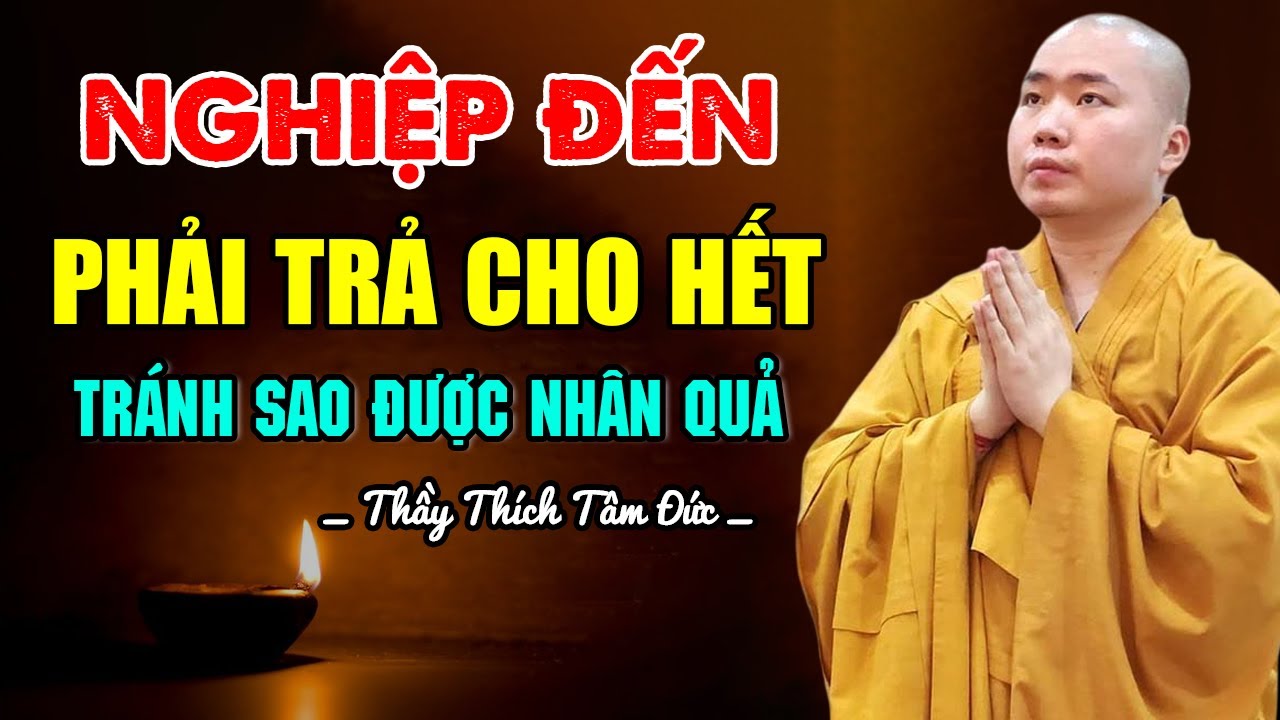 Nghiệp Đến Phải Trả Cho Hết , Tránh Sao Được Nhân Quả  - Thầy Thích Tâm Đức