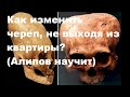 Как изменить череп, не выходя из квартиры? (Алипов научит)