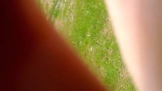 VID 20120507 122714