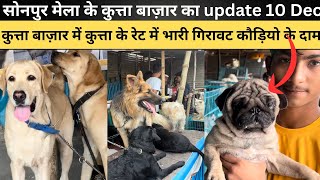 Sonpur mela dog market 2023|sonpur mela dog market update | kutta bazaar | chepest dog market