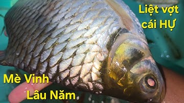 Quằn tay với con cá này. Hàng khủng lâu năm xuất hiện | Săn bắt SÓC TRĂNG |