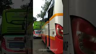Bus Ugal Ugalan Di Jalan Raya Sampai Bus Oleng Oleng