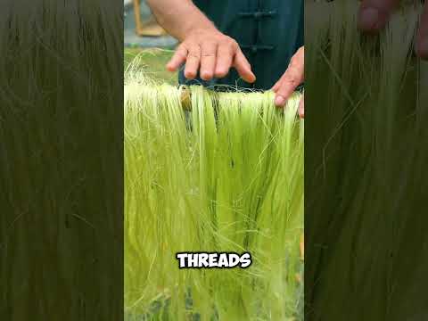 This Guy Makes