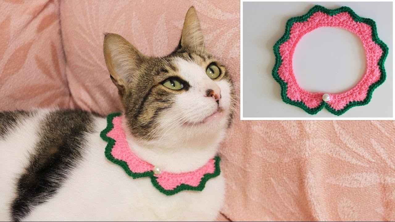 Collar De Lana Muy Facil A Crochet Para Gatos-Handmade Diy