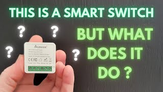 Tuya Wifi Smart Home Switch. What does it do?