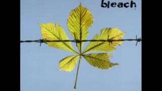 Bleach -  Seeing chords