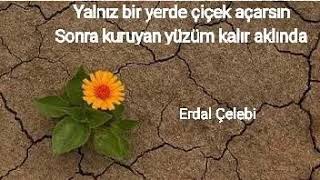Sohrab Gahramanli - Yalniz Cicek (Cover)