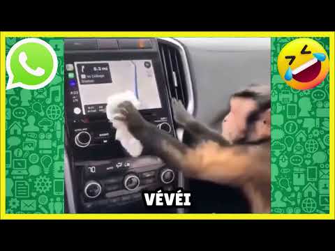 ▶️BORA DE DANÇA NESSE FRIO