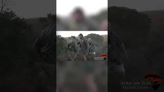 The ultimate buffalo charge ever caught on video. This is what we do.  #hunting #capebuffalo